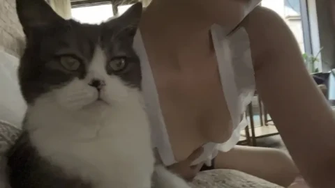 手机在线精品剧集立即观看免费