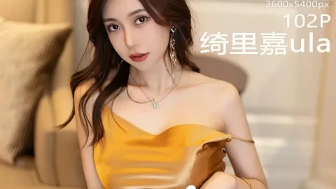 互动必看完整版